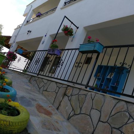 Kaymak Tepesi Tatil Evi Bed & Breakfast Kucukkuyu Exterior photo