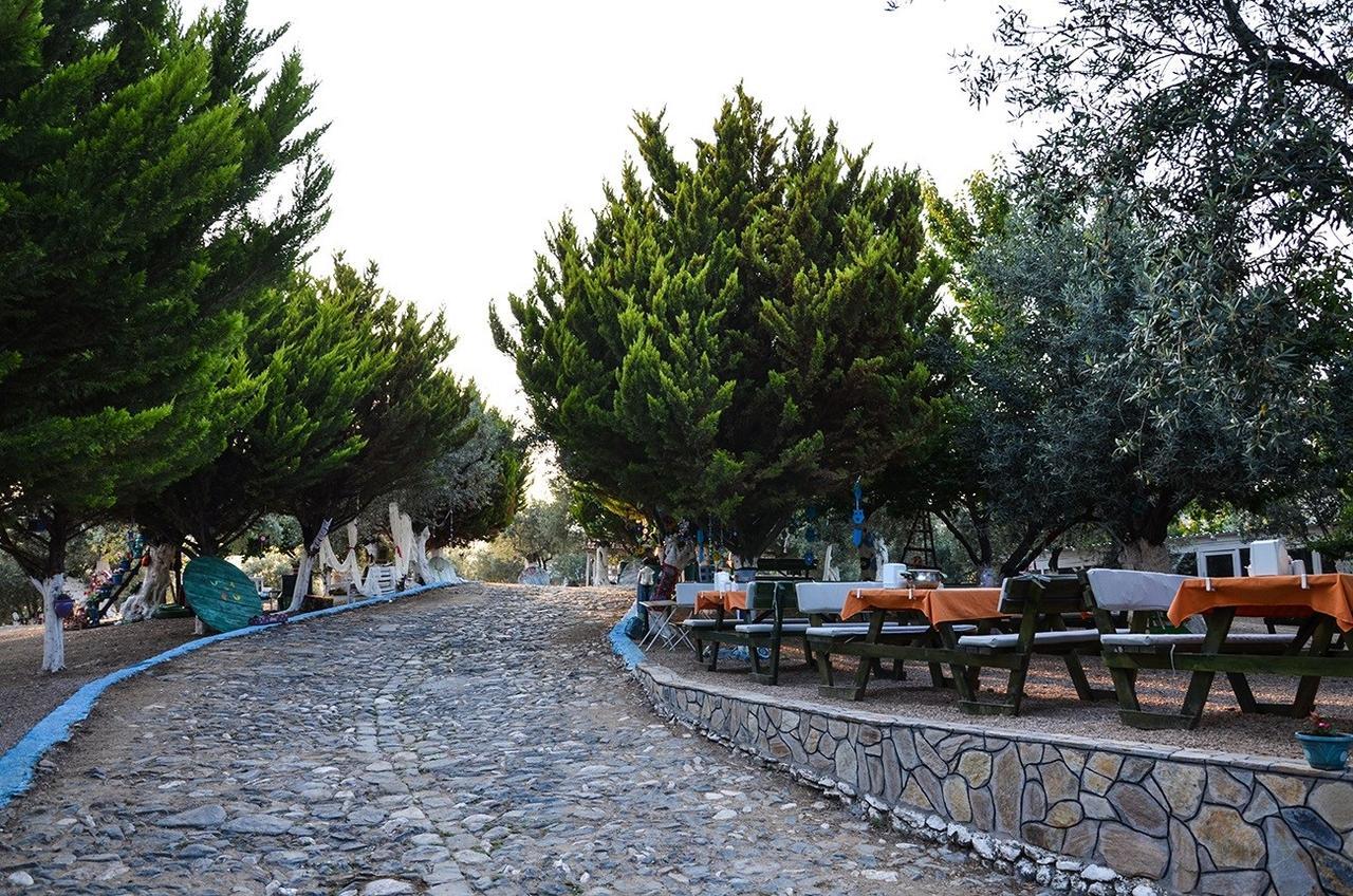 Kaymak Tepesi Tatil Evi Bed & Breakfast Kucukkuyu Exterior photo