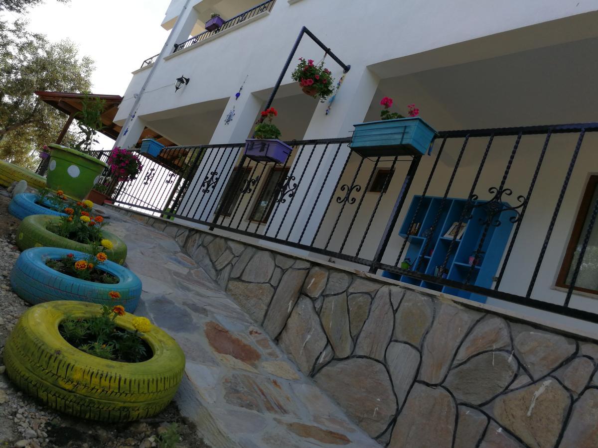 Kaymak Tepesi Tatil Evi Bed & Breakfast Kucukkuyu Exterior photo