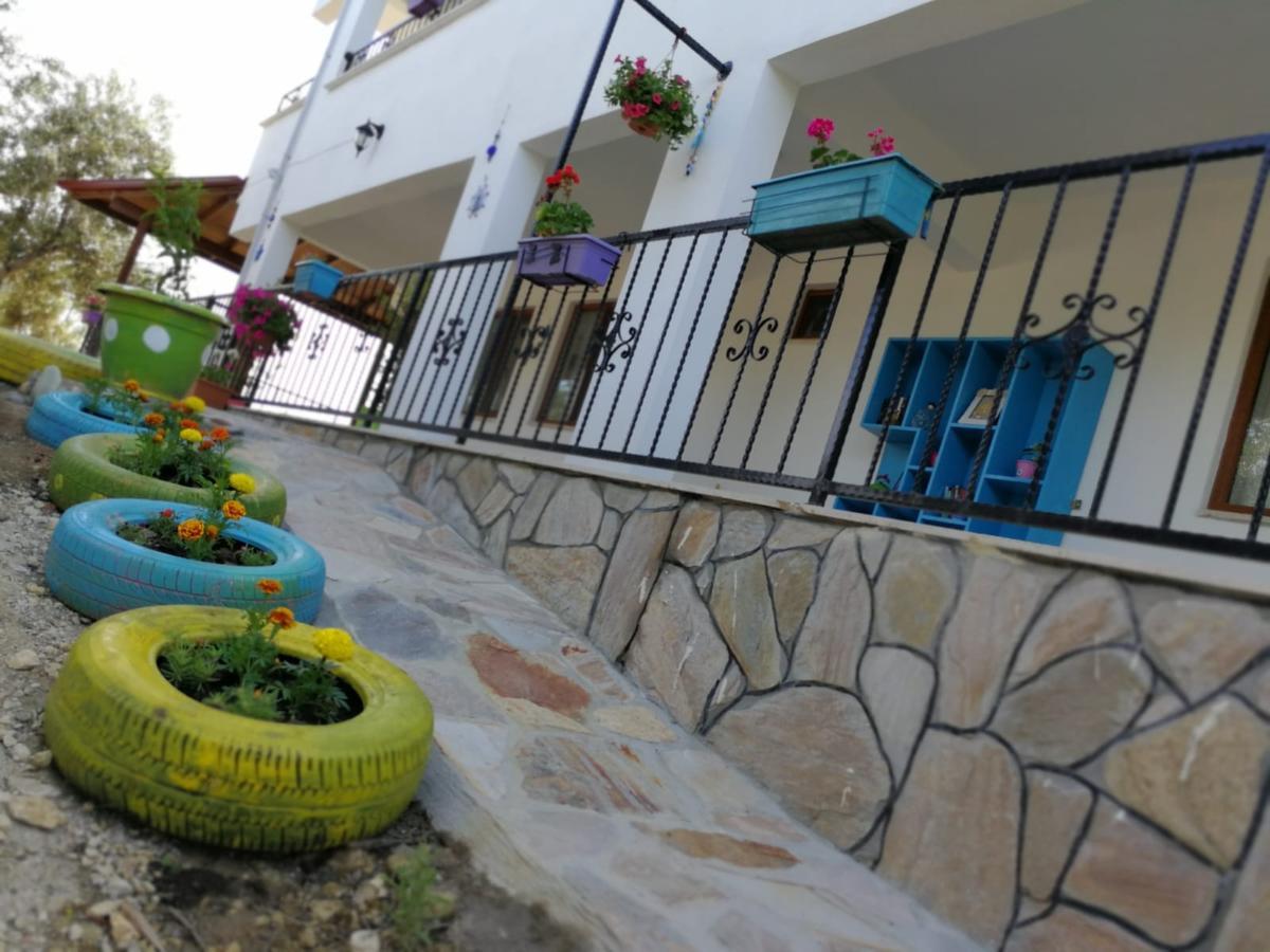 Kaymak Tepesi Tatil Evi Bed & Breakfast Kucukkuyu Exterior photo