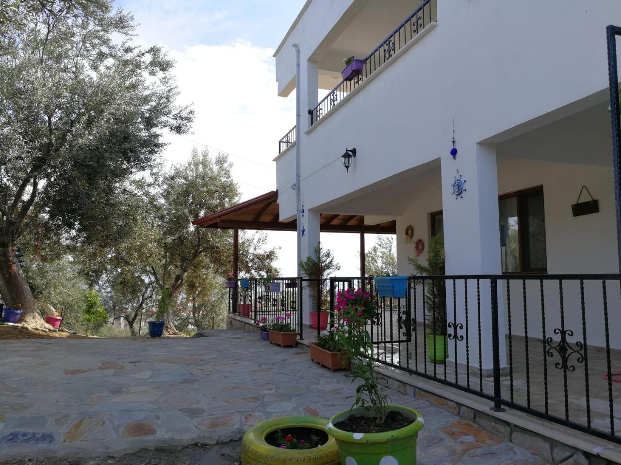 Kaymak Tepesi Tatil Evi Bed & Breakfast Kucukkuyu Exterior photo